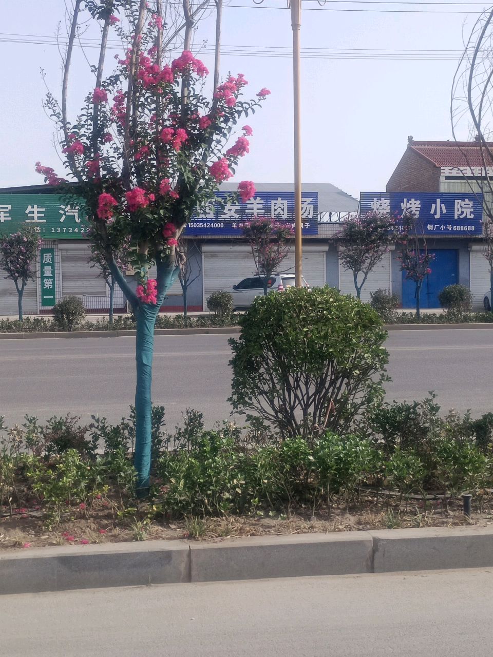 清真西安羊肉汤