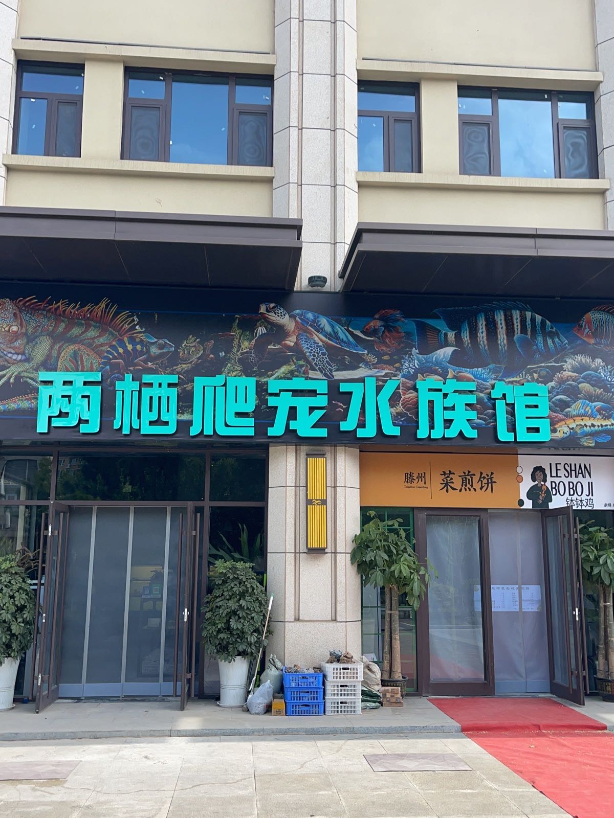 两栖爬宠水族馆