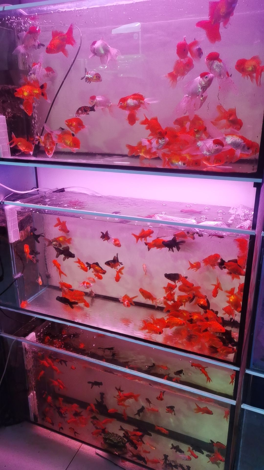 海洋水族馆