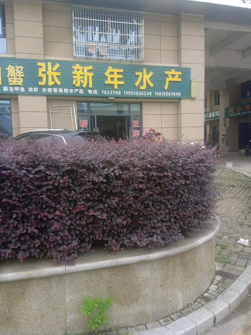 张新年水产(新发地店)