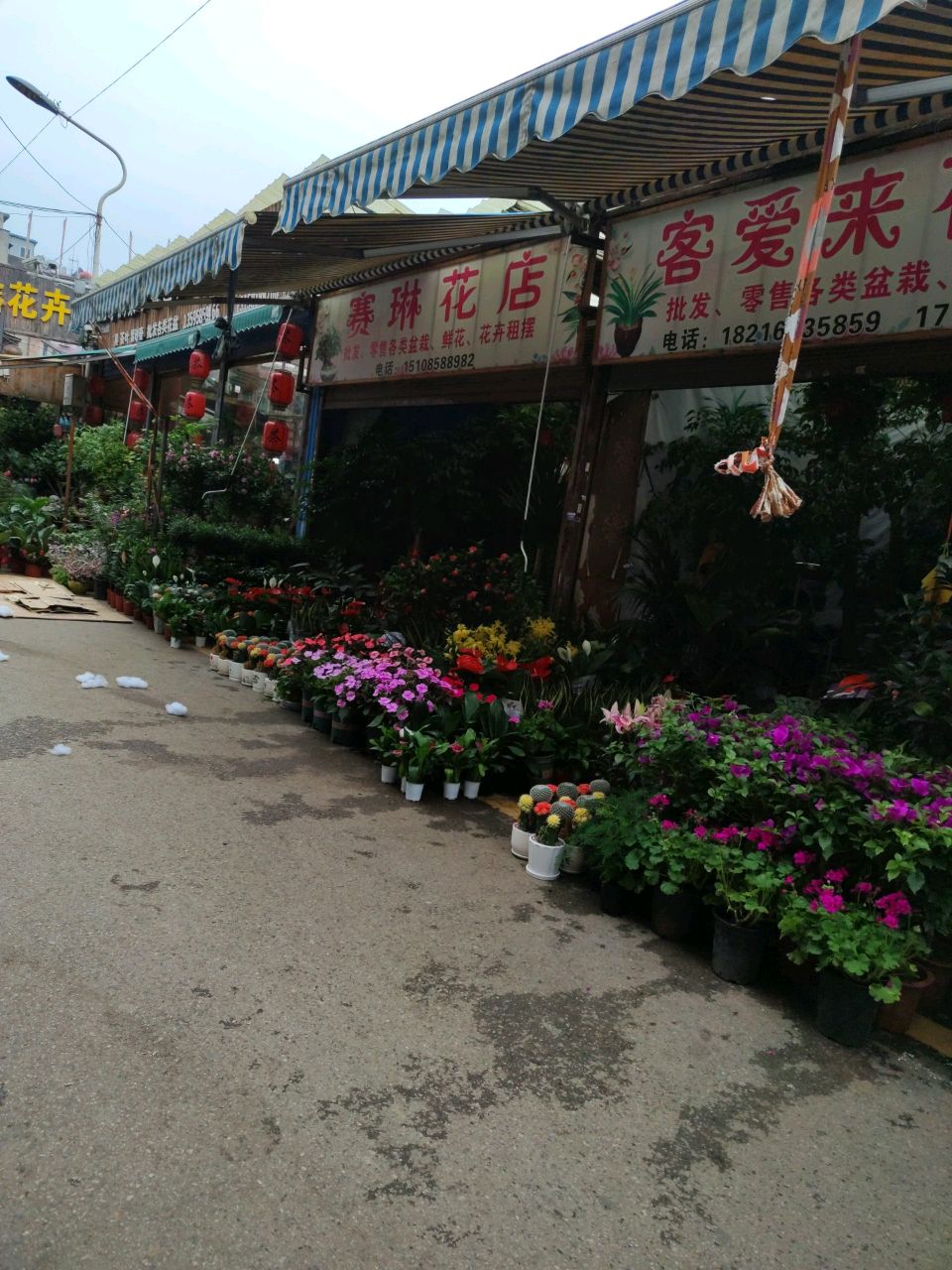 先花店(钟山区分店)