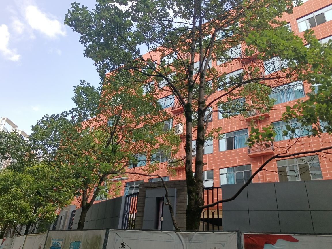 华东师范大学附属贵阳学校