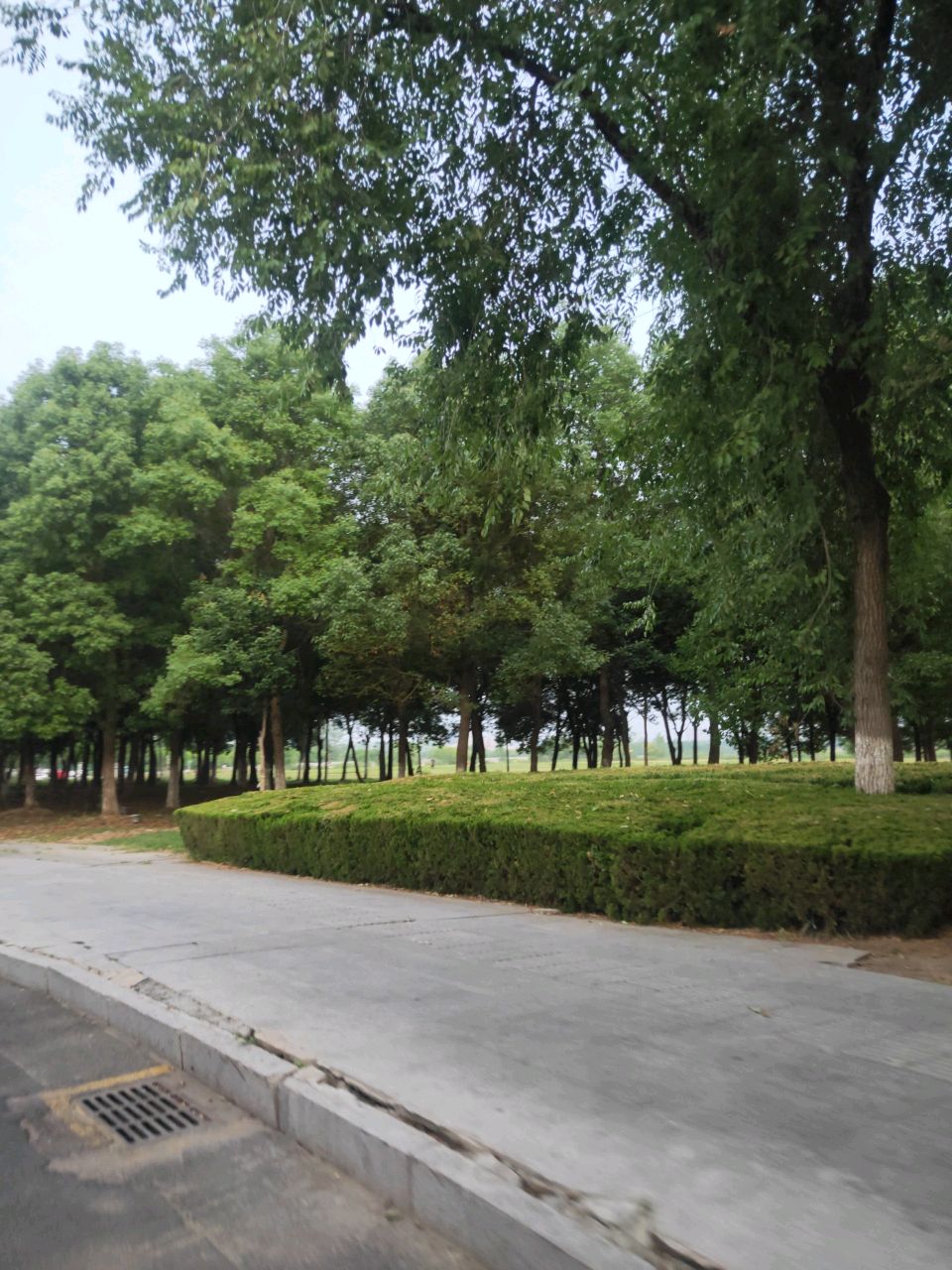 龙子湖风景区绿水青山大草坪