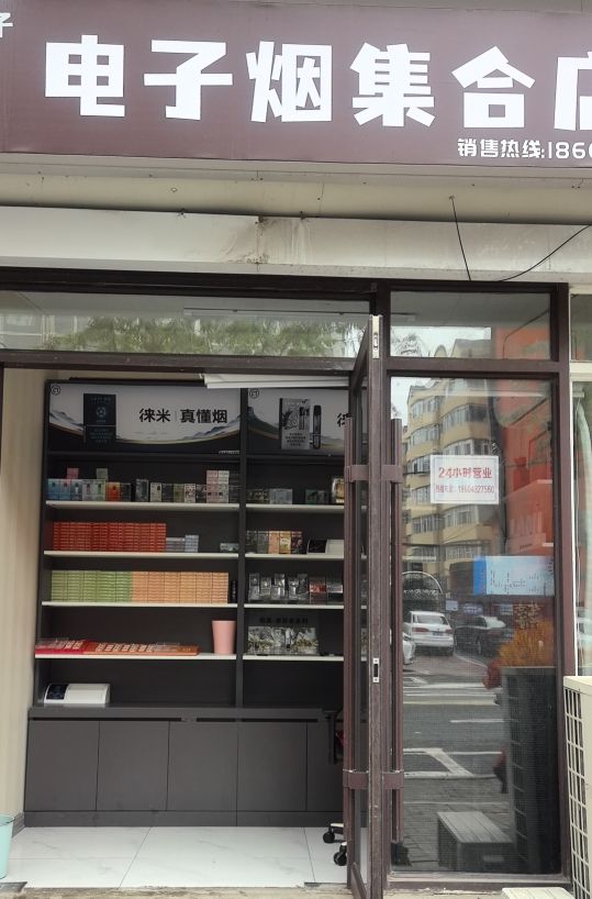 电子烟集合店(湖西路店)