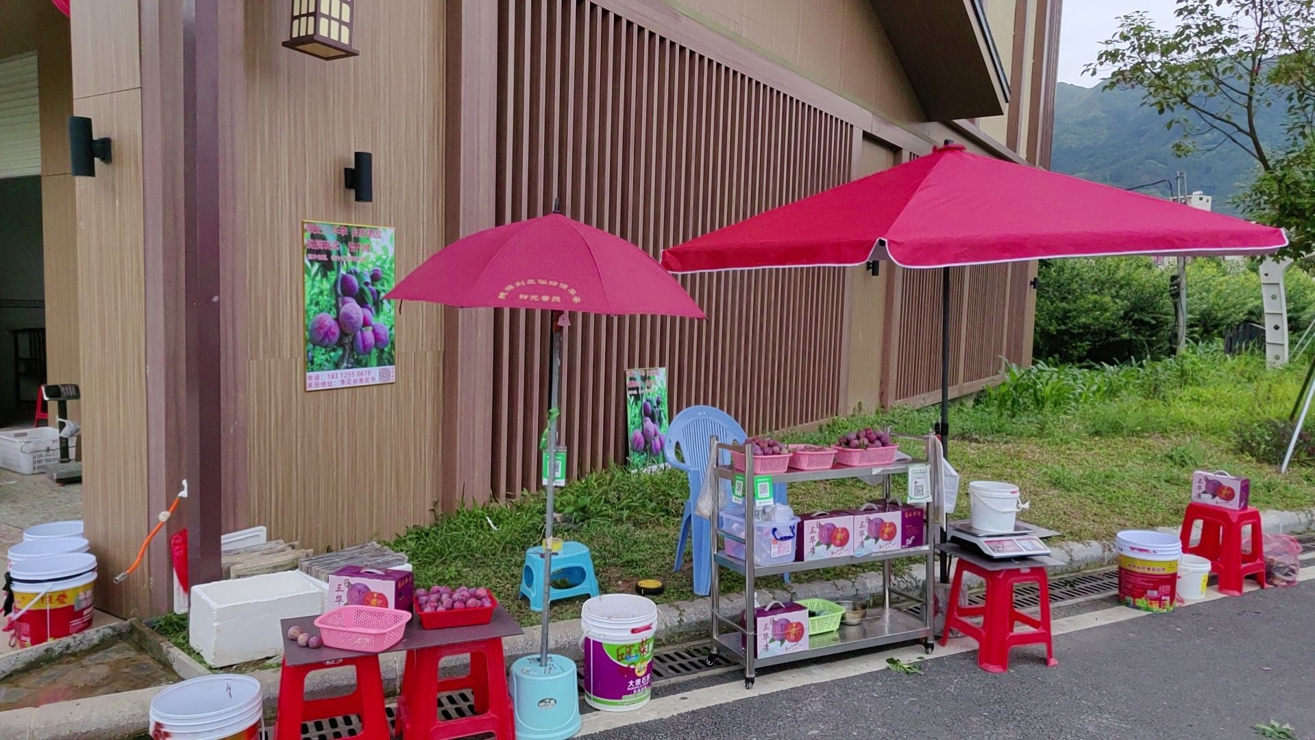 李花谷服务中心