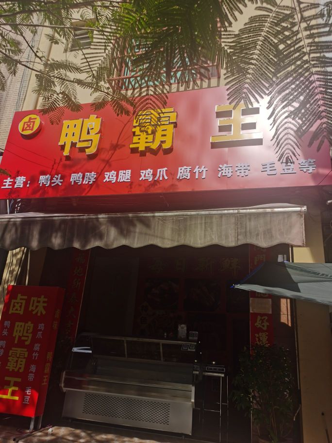 鸭霸王