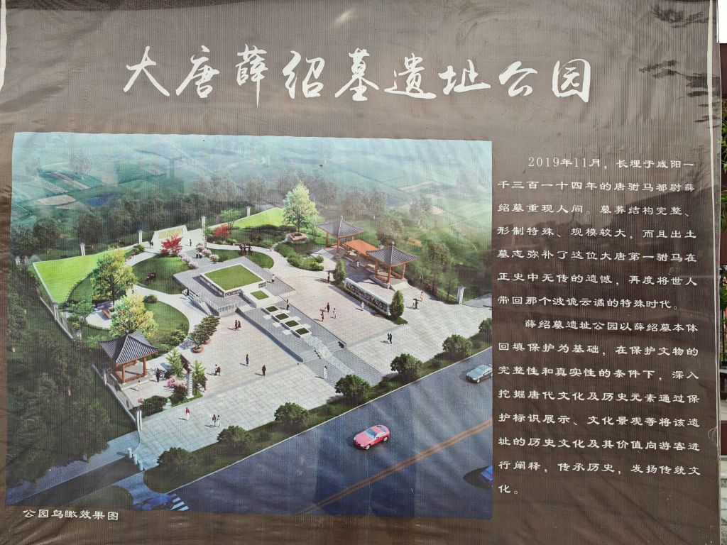 大唐薛绍墓遗址公园