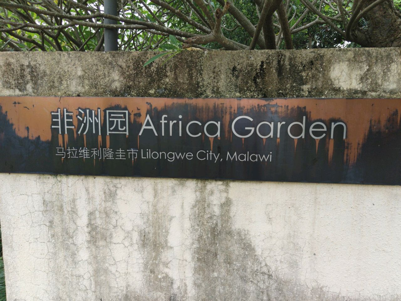 非洲园