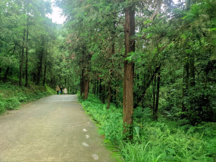 五桂山自然风景区