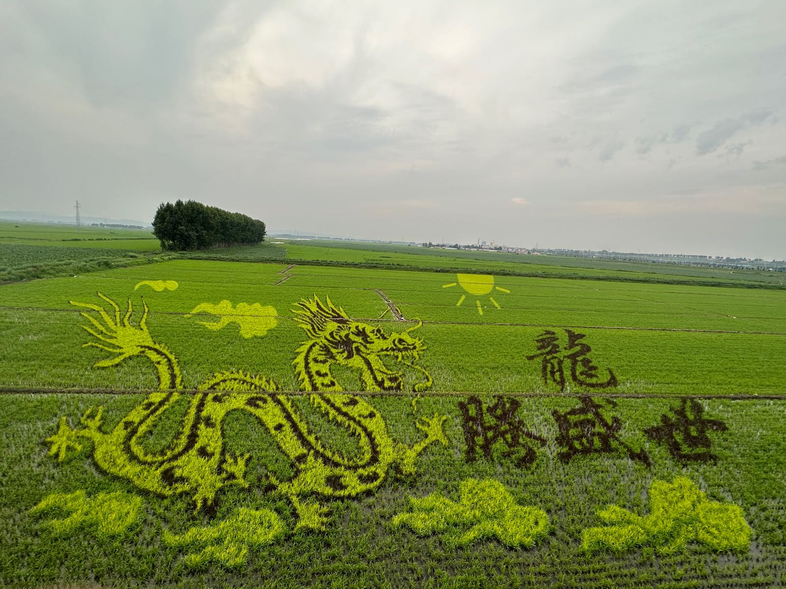 伊通蟹稻公园