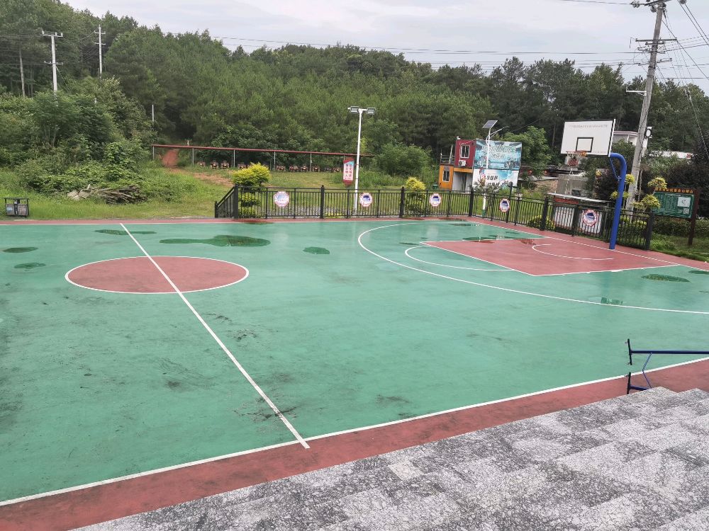 桃花村篮球场