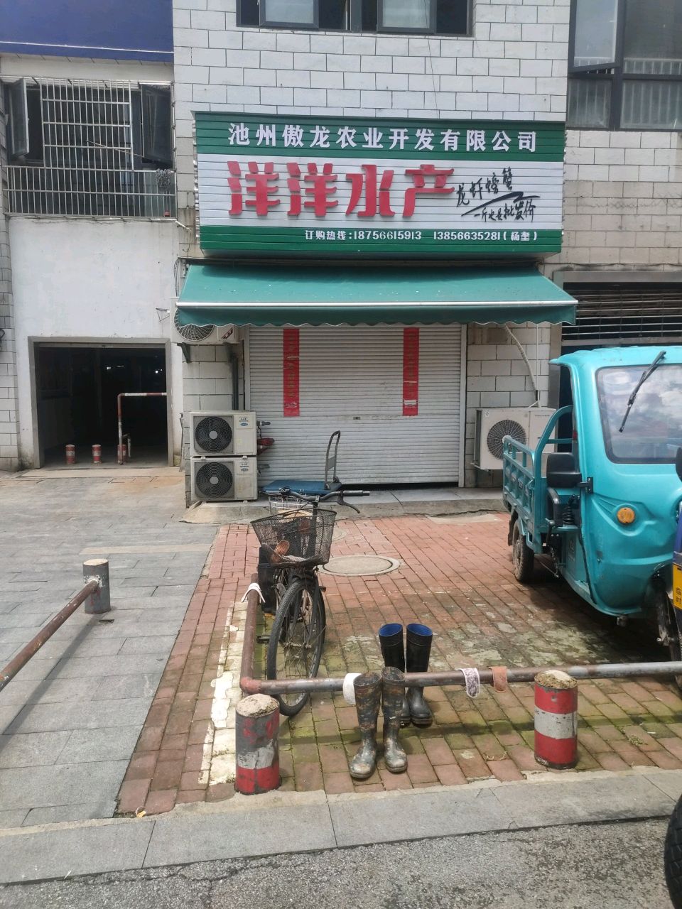 洋洋水产(唐田路店)