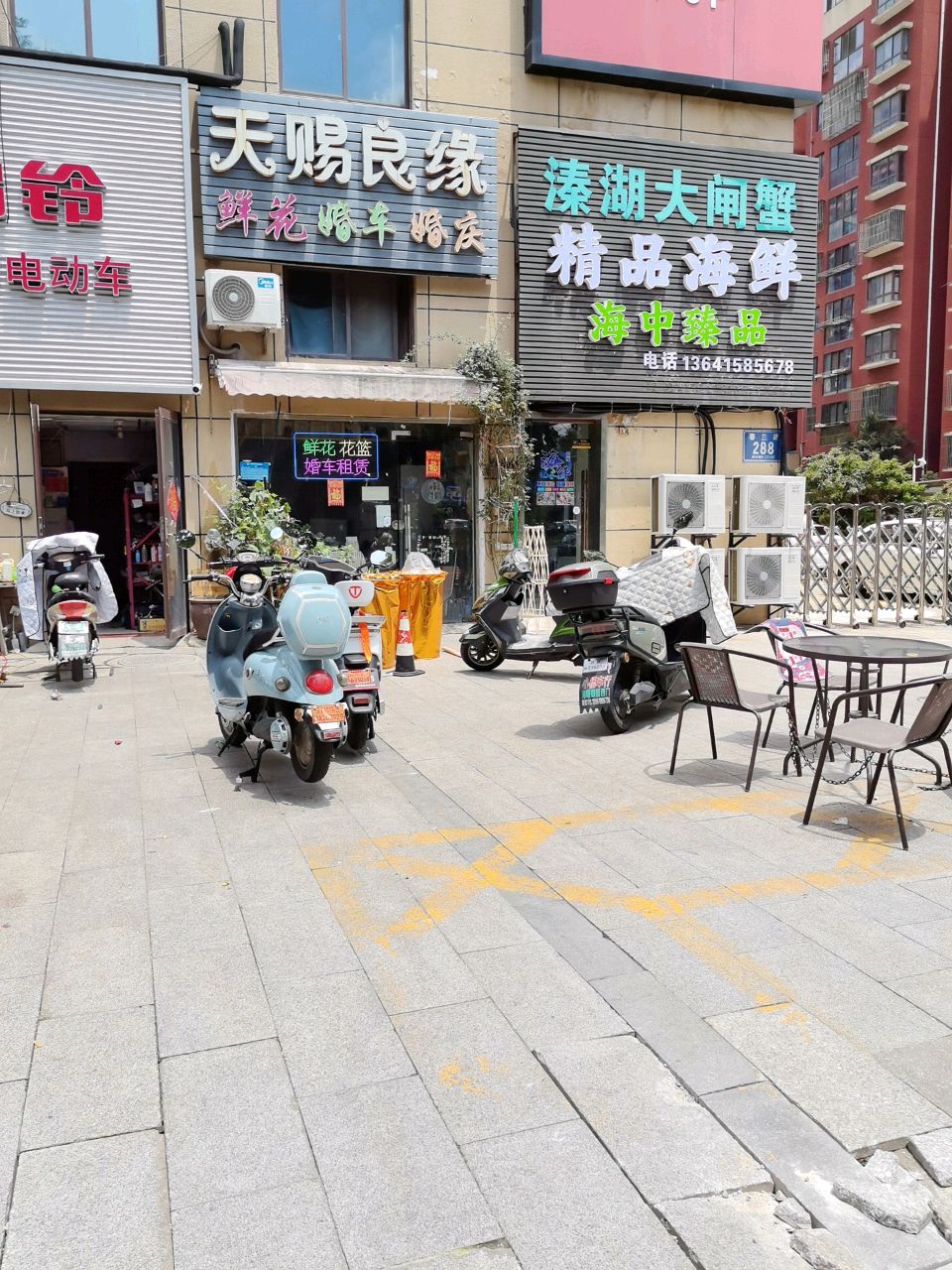 溱湖大闸蟹
