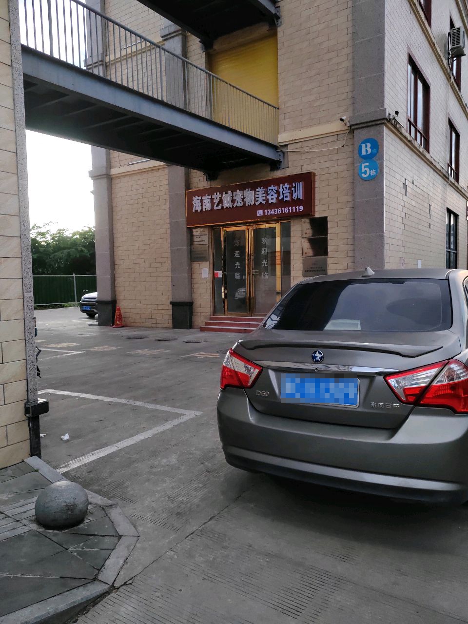 海南艺诚宠物美容培训