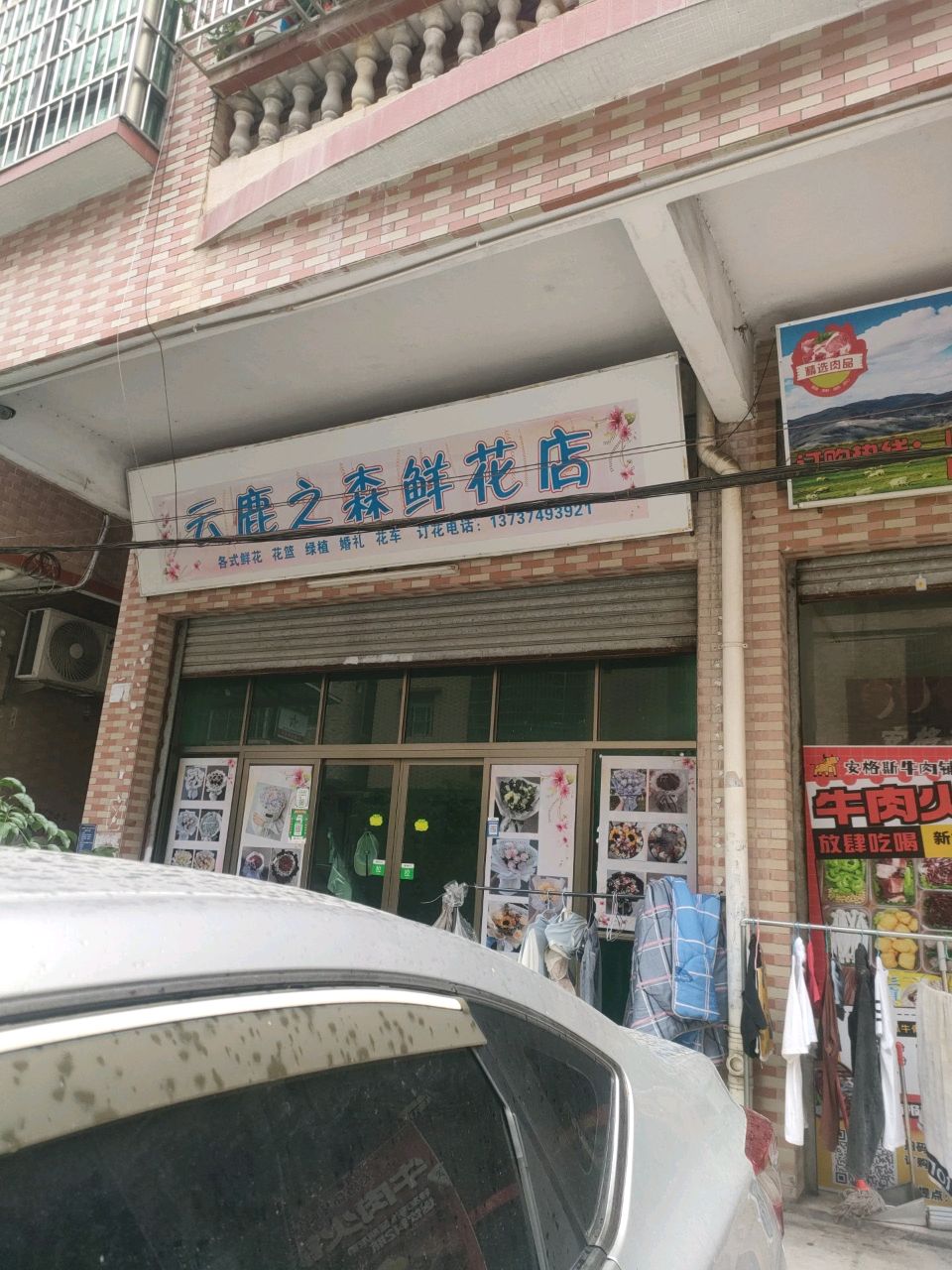 鹿之拍云骘森鲜花店