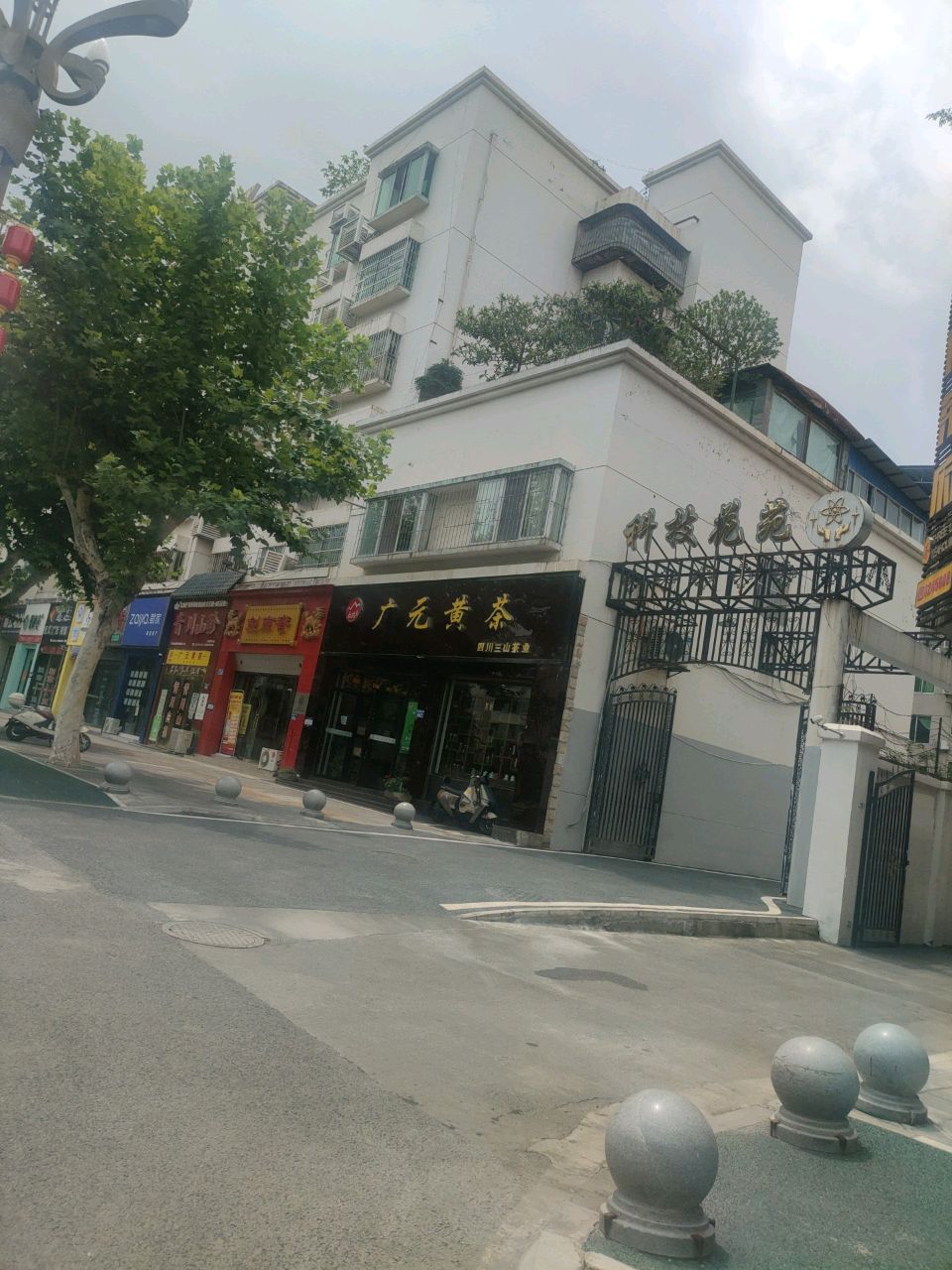 广元黄茶(利州东路一段店)