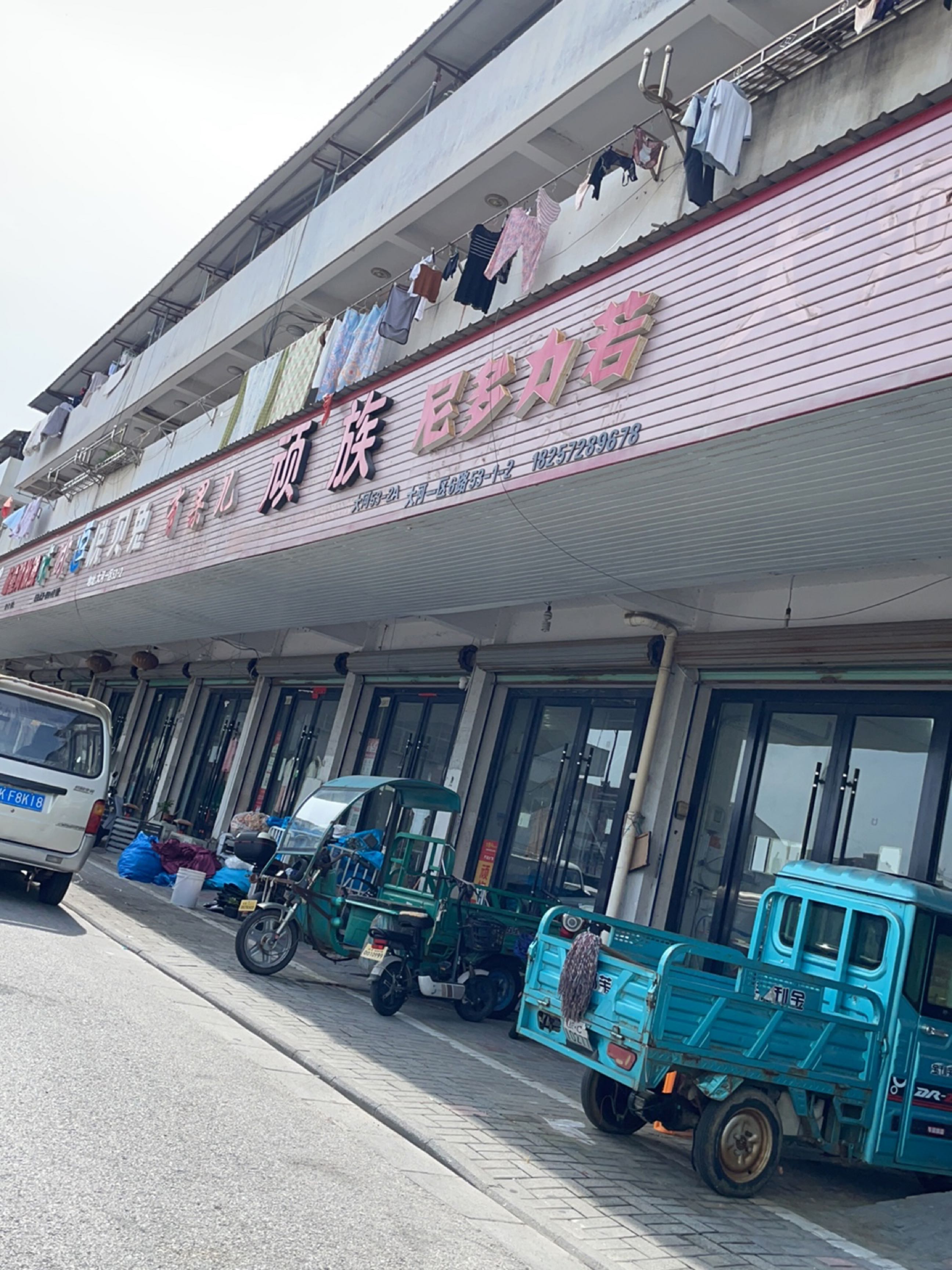 顽族