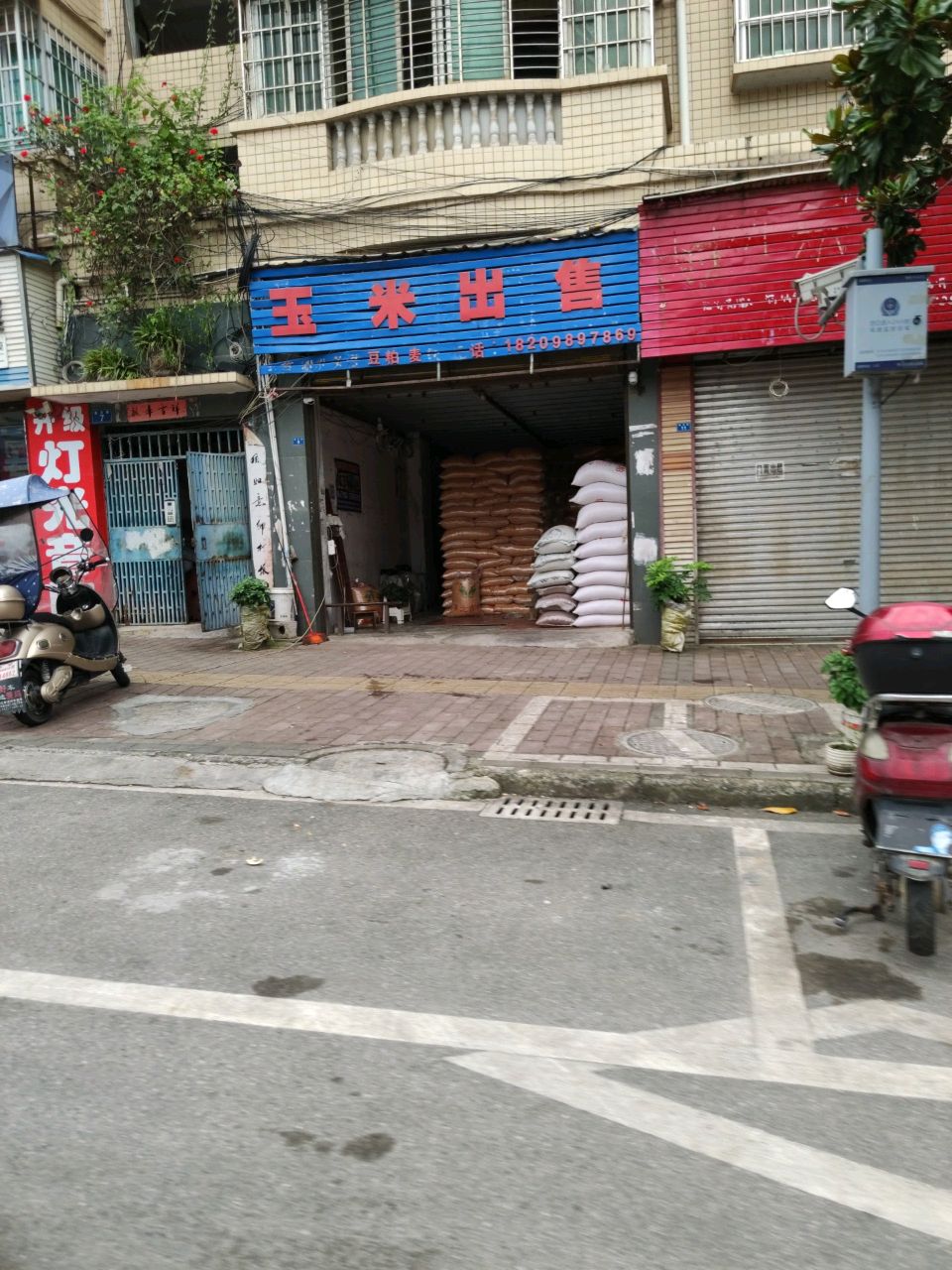玉米出售