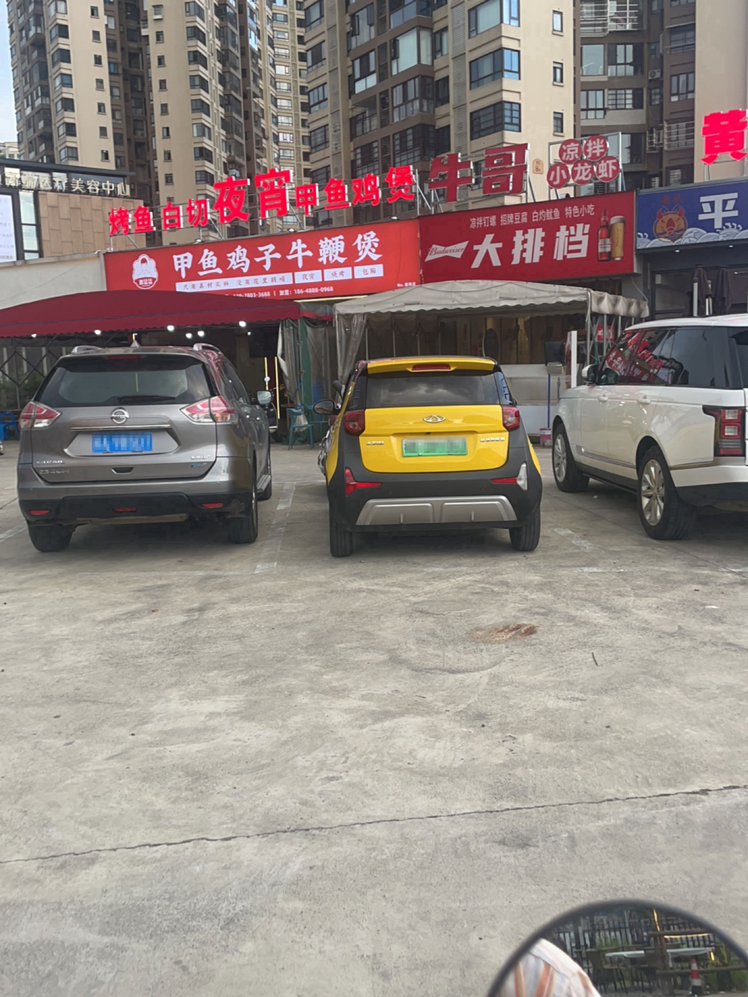 唐猛猛·湘乐汇·甲鱼鸡子牛鞭煲(窑埠店)