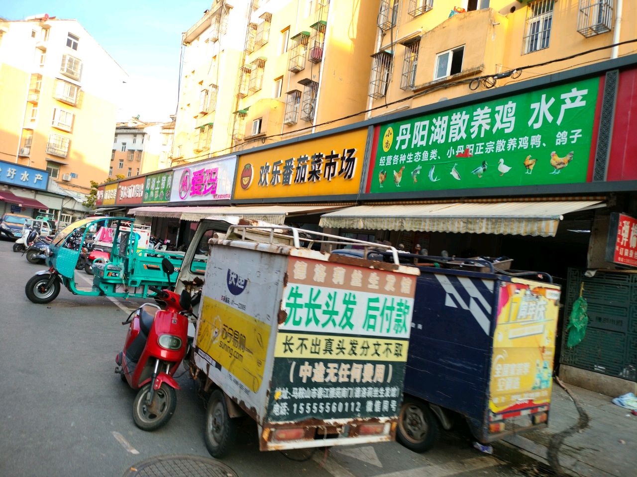 丹阳湖散养鸡水产(阳湖花园店)