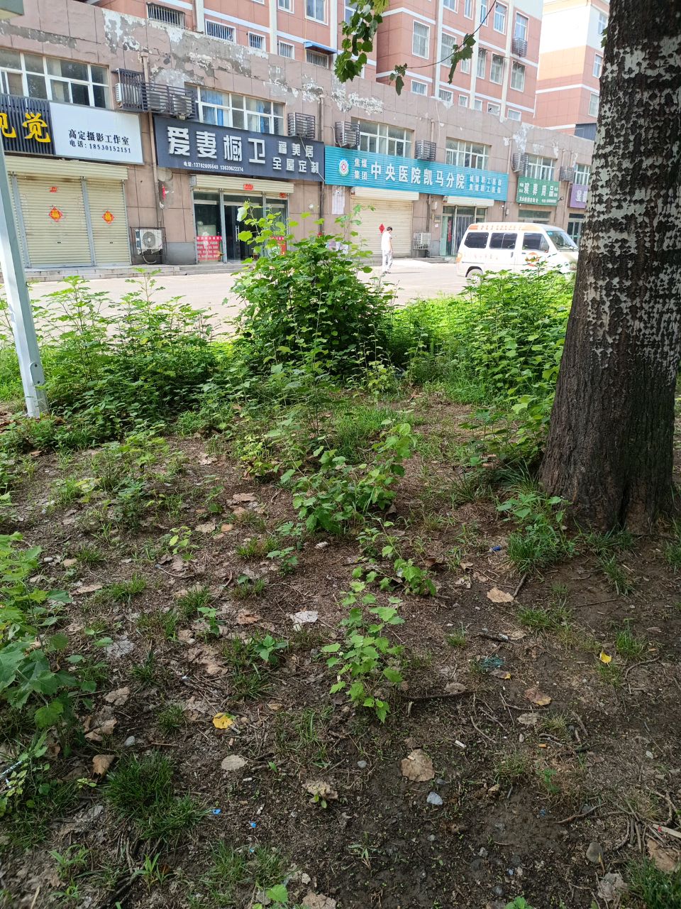 中央医院凯马分院