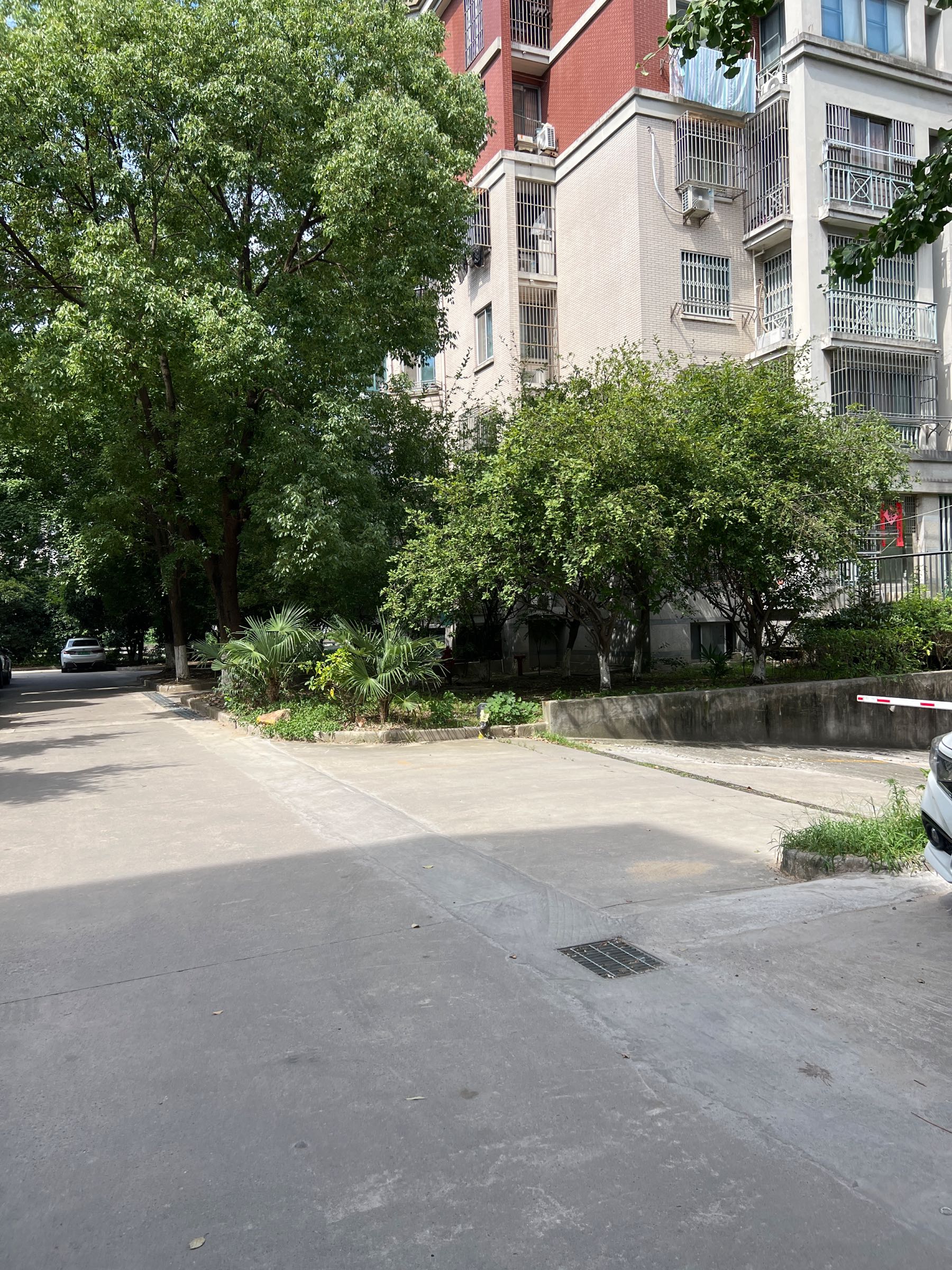龙泉乒乓球俱乐部