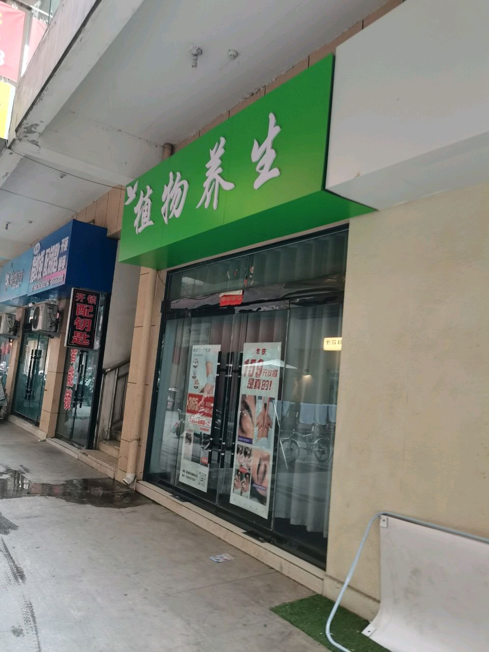 植物养生