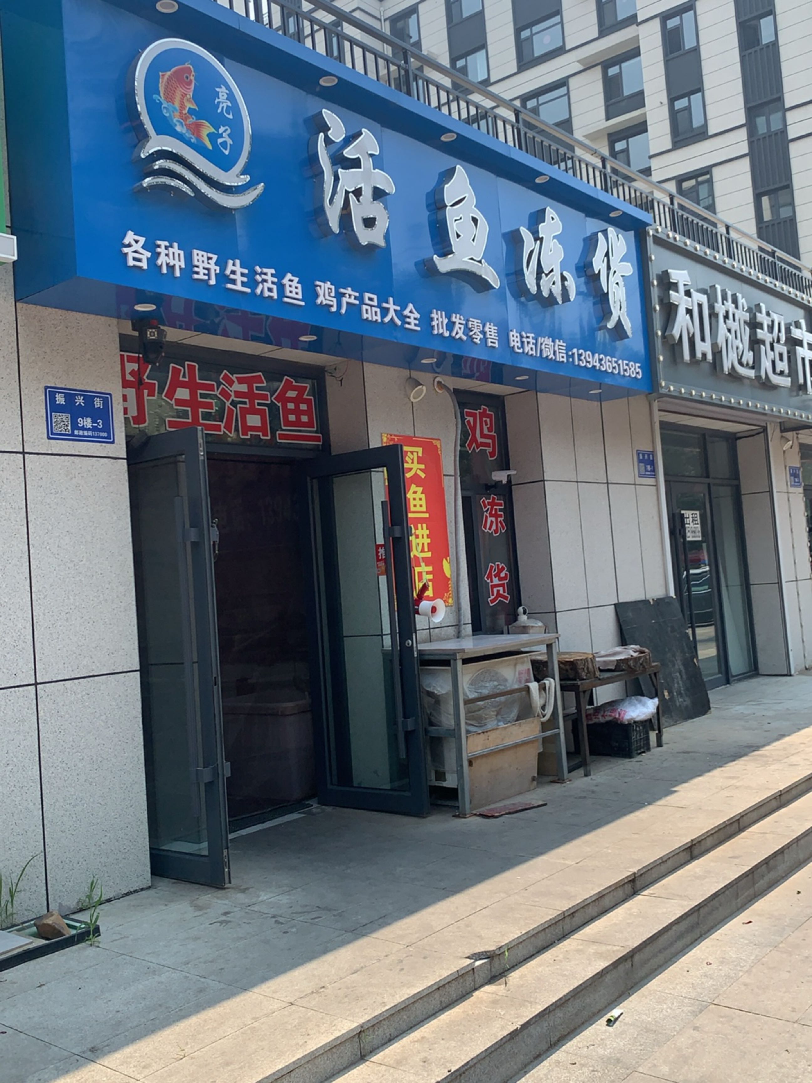 亮子活鱼冻货