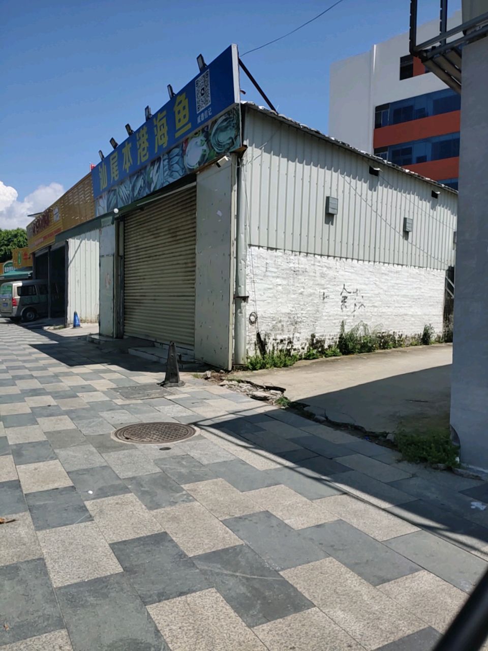 汕尾本港海鱼