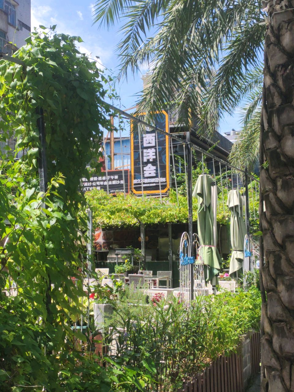 珠海市·西洋会·酒吧(水湾路店)