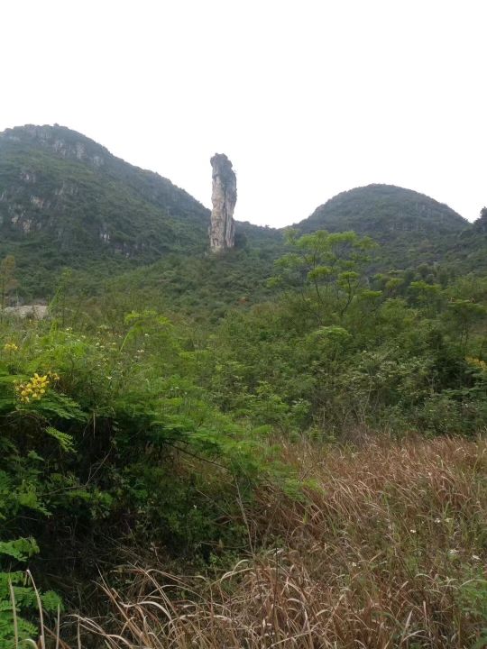信山