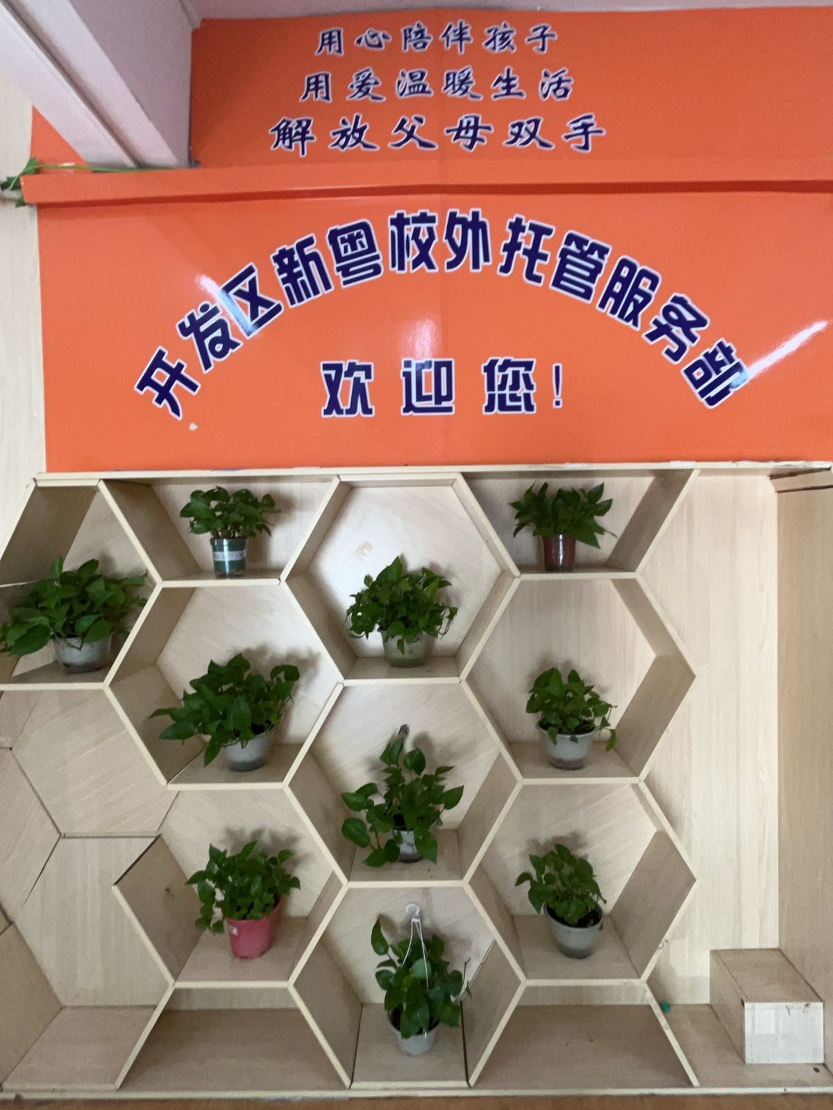 茁粤托管服务部