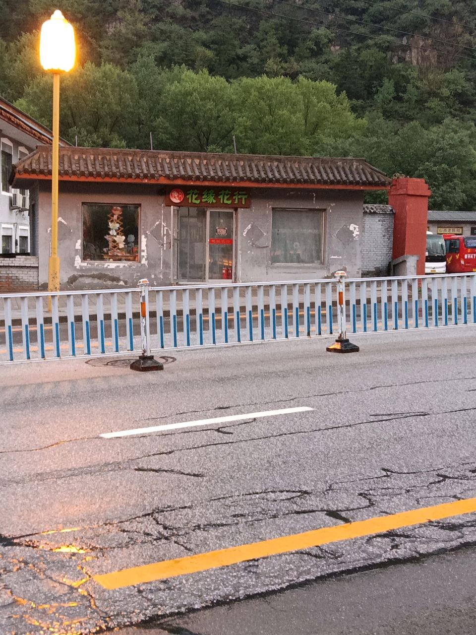 花缘花行