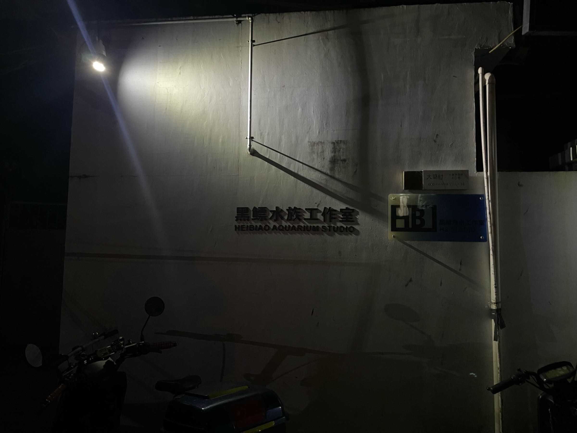 黑鳔水族工作室