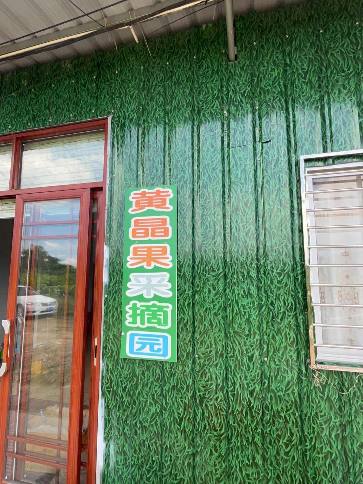 高州市香满园黄晶果基地