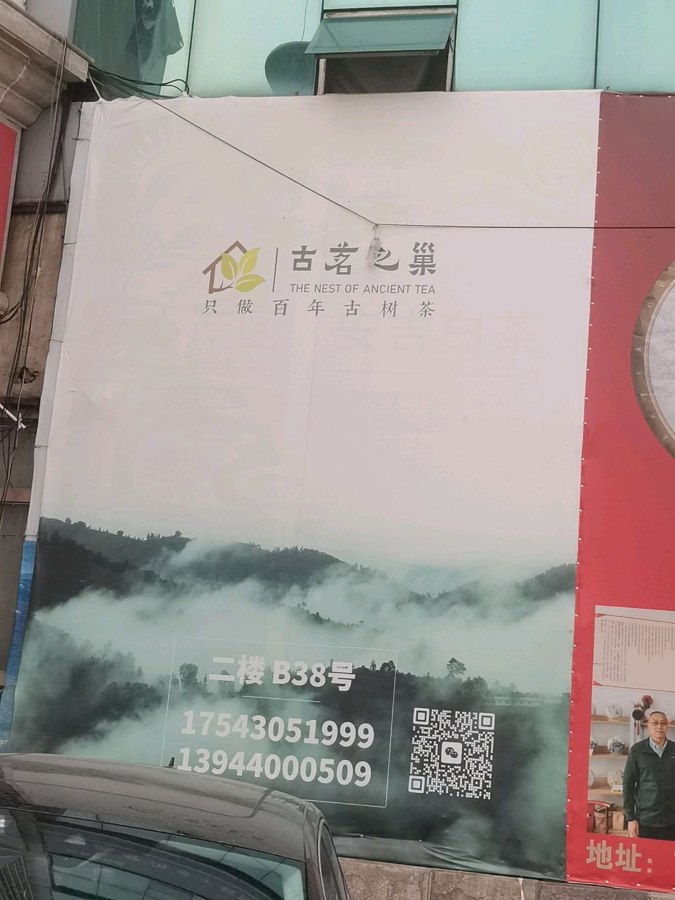 古树茶(吉林省总店)