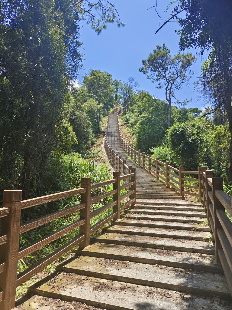 竹篙岭顶瞭望亭