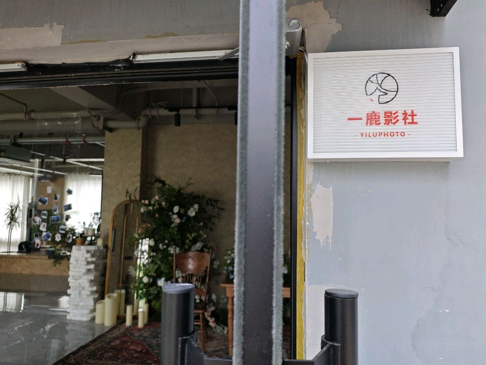一鹿影社宠物摄影