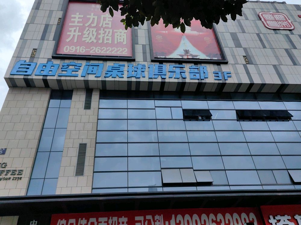 自由空间桌球俱乐部(乐嘉中心店)