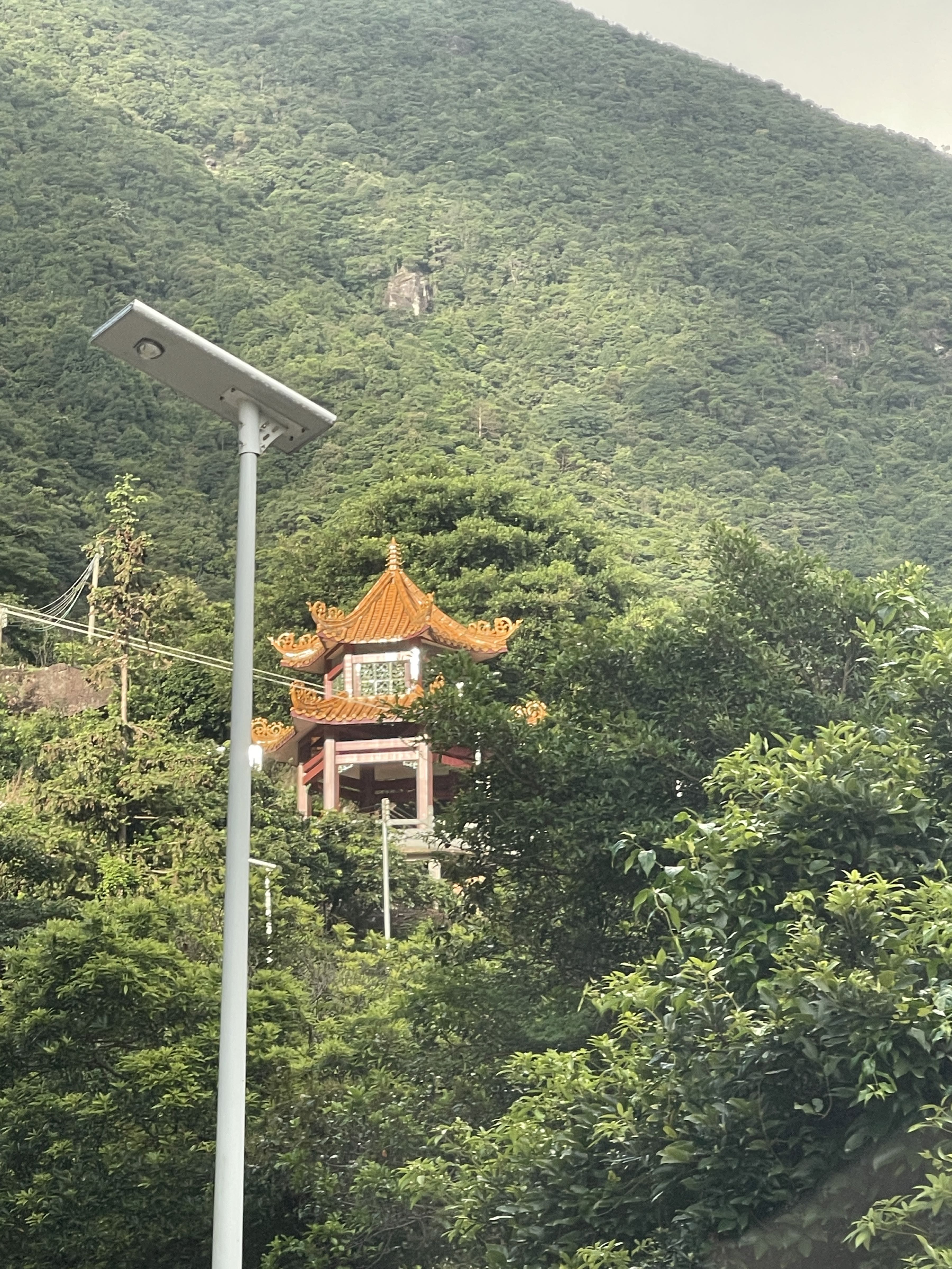 龙岩寺