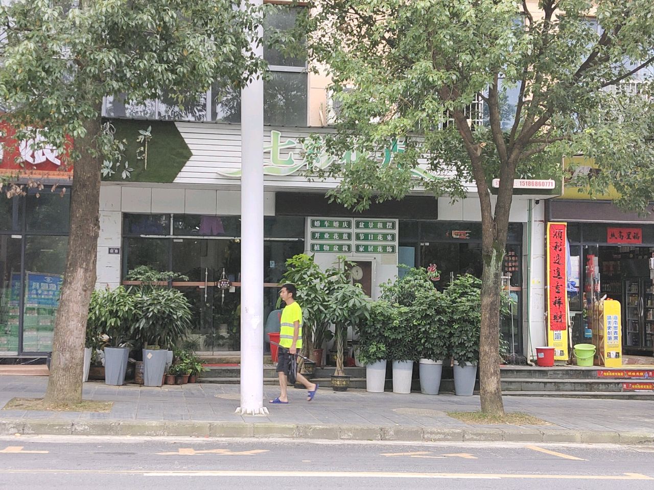 七彩花卉(九龙中心城店)