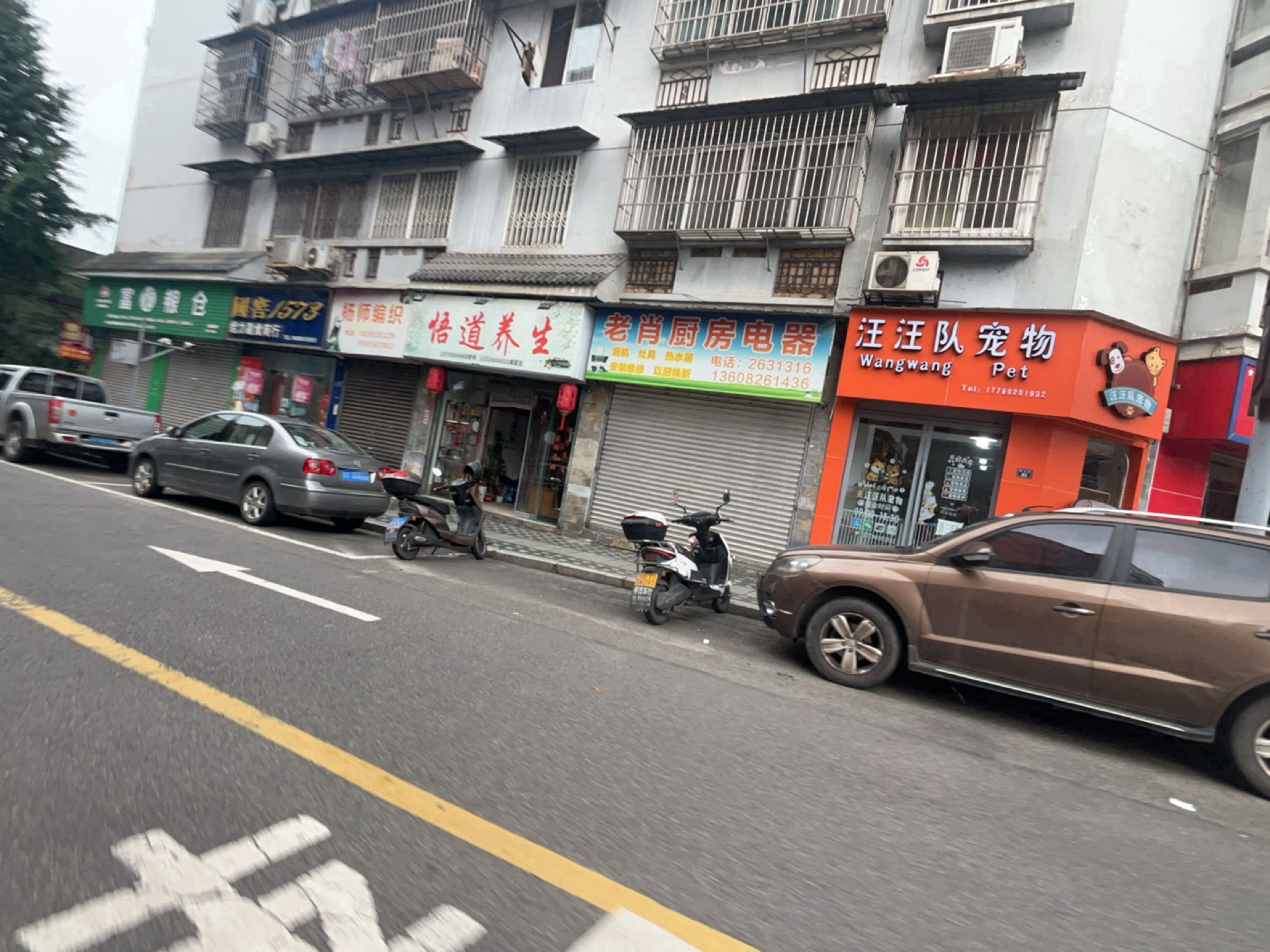 汪汪队宠物
