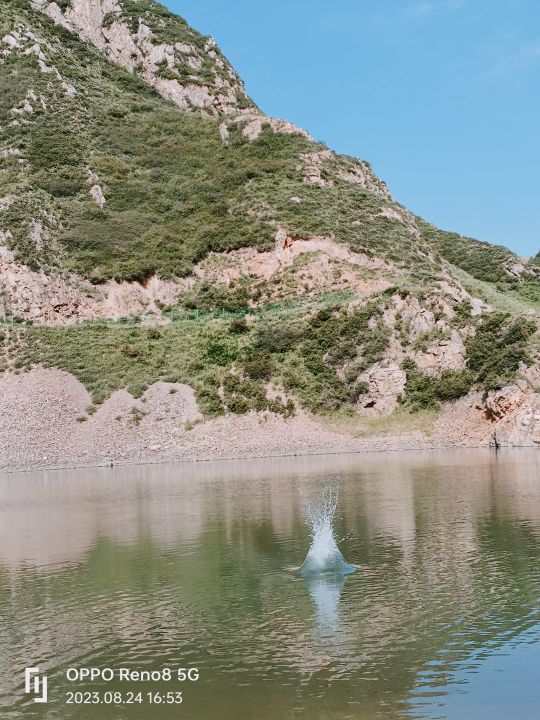 中岭水库