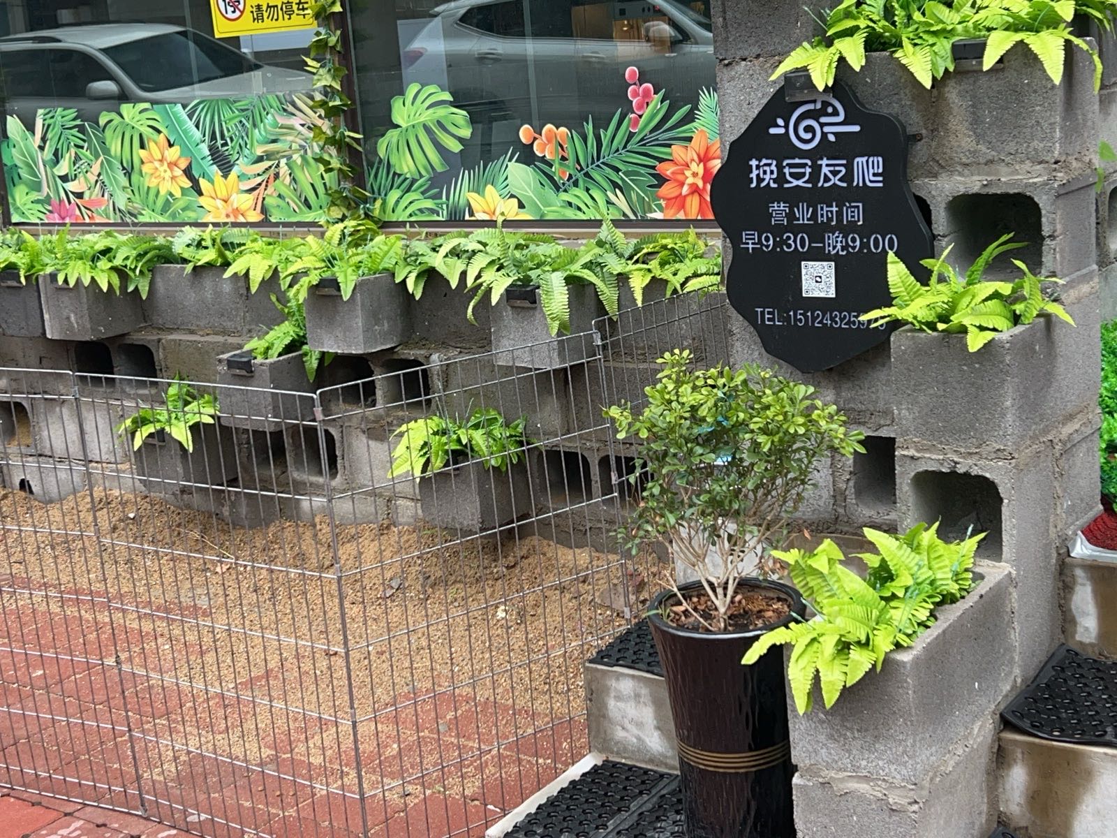 挽安友爬