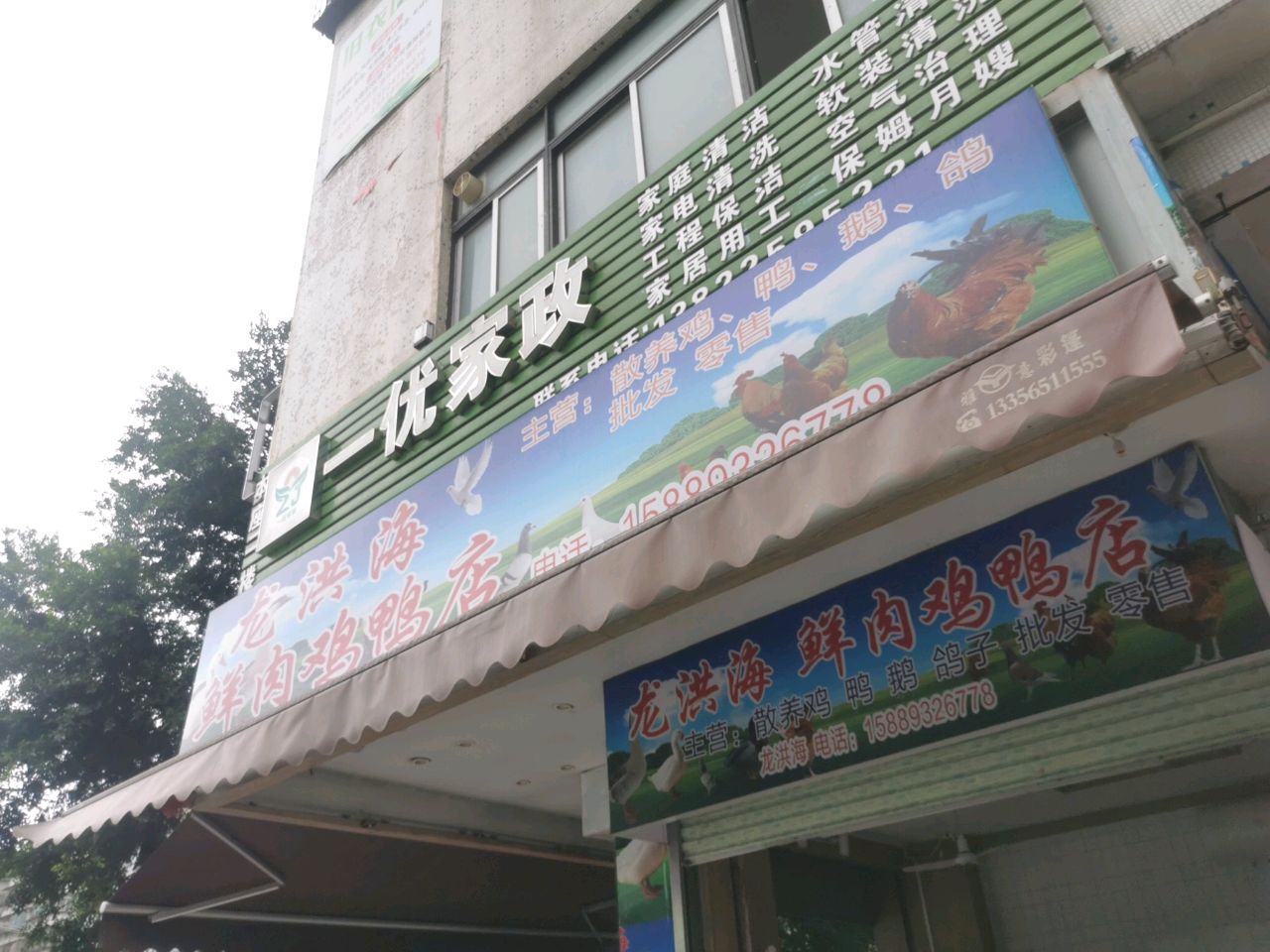 龙洪海鲜肉鸡鸭店