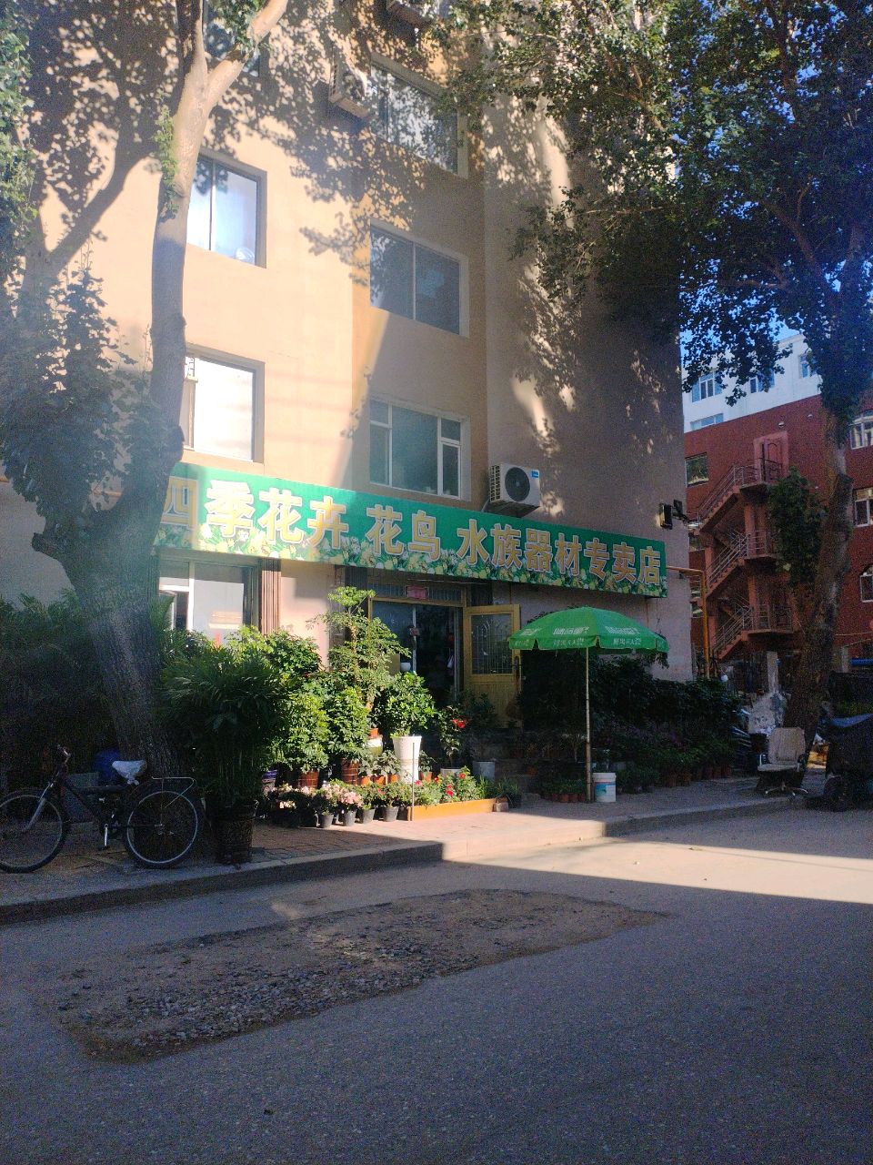 四季花卉花鸟水族器材专卖店(北建平街店)