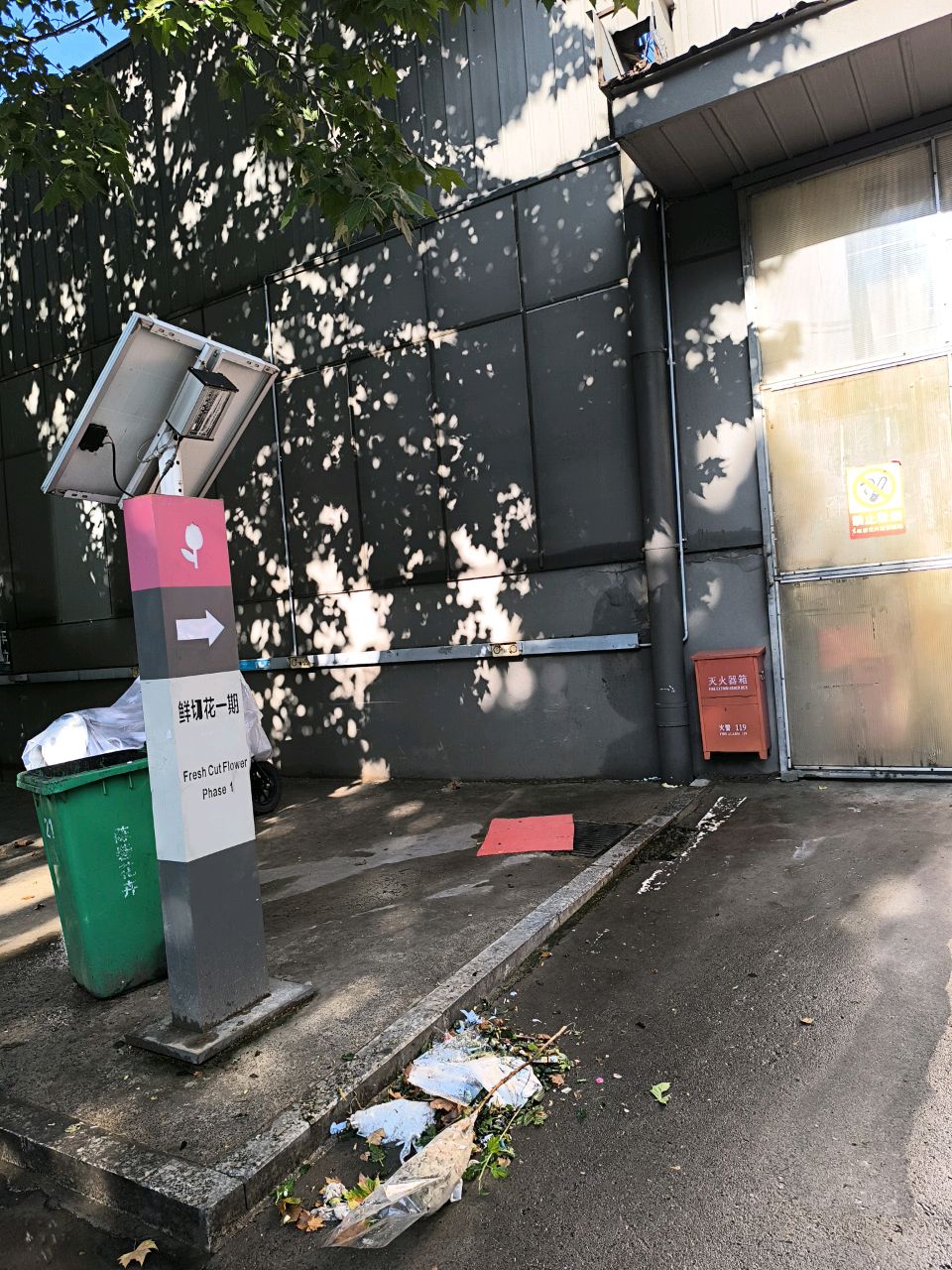 陈砦花卉双桥基地鲜切花一厅