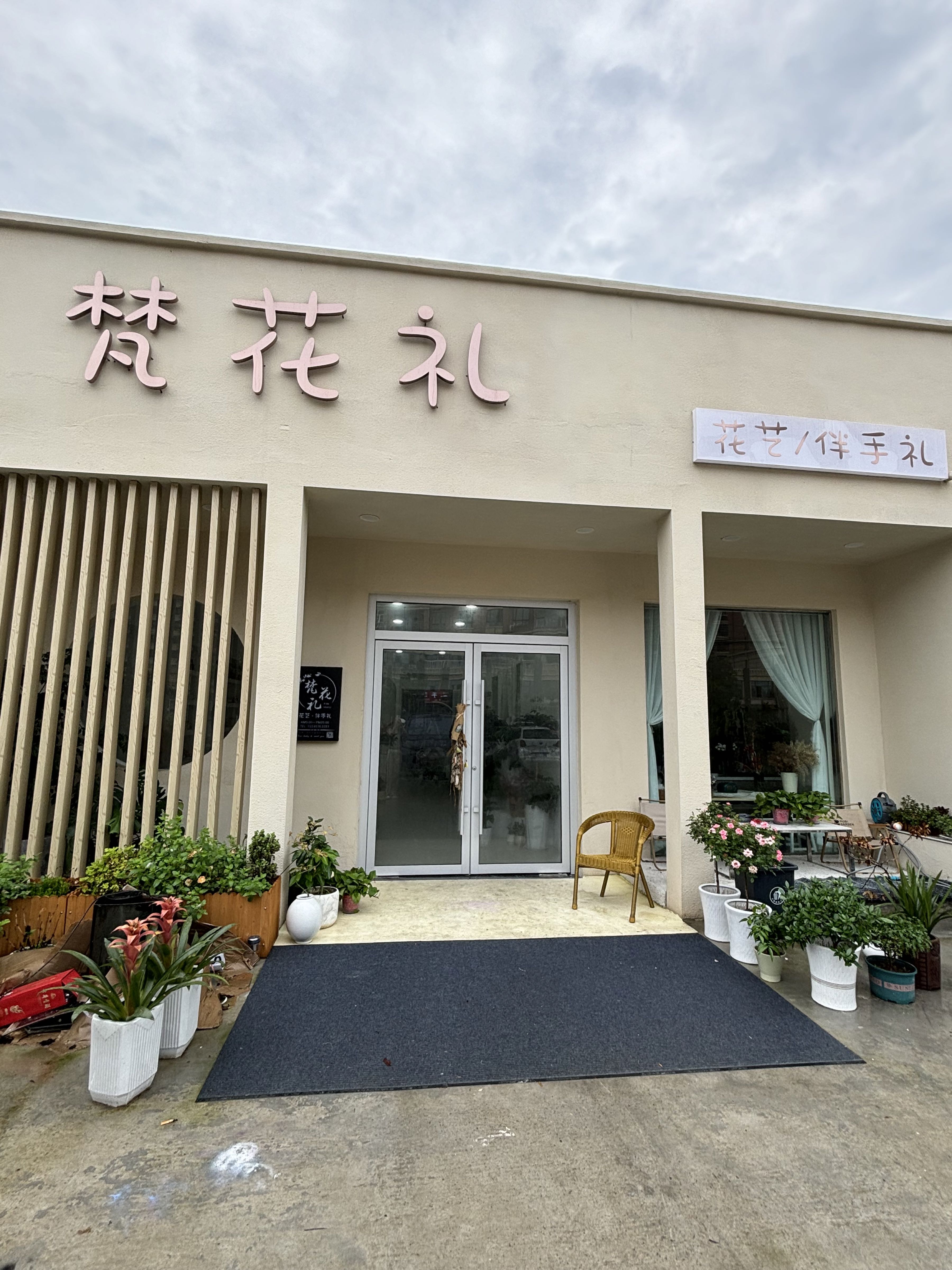 礼椁曙梵花