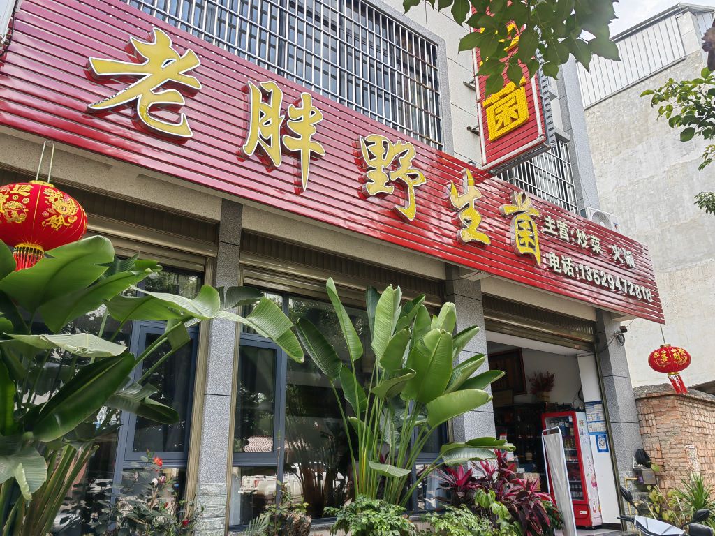 老胖野生菌(嘉林路店)