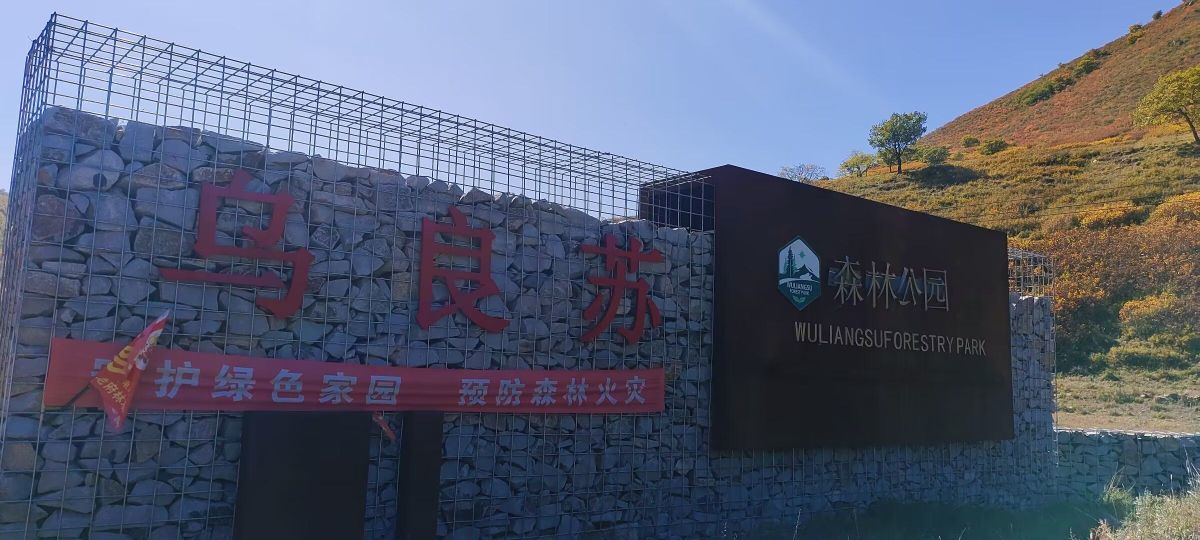 大乌梁苏